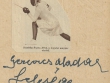 bogathybogen-erna.1405946140.jpg
