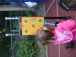 dsc08180.1379845085.jpg