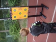 dsc08198.1379844927.jpg