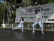 dsc08224.1379844711.jpg