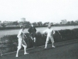 vivoakademia-a-phnix-atletikai-versenyen-a-beszkart-palyan-kabos-es-kerevich.1405069004.jpg